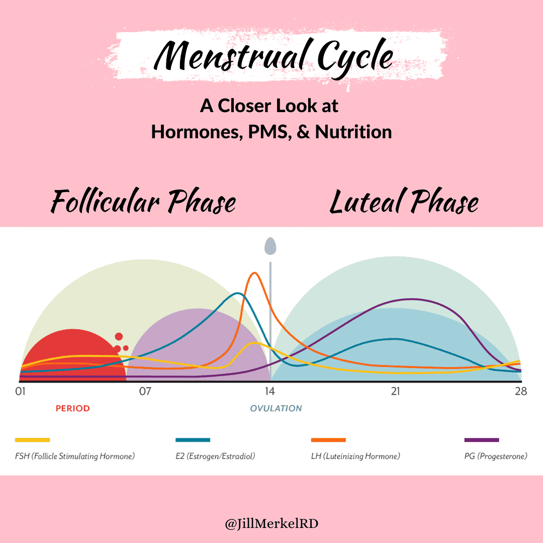 Breaking Down the Menstrual Cycle